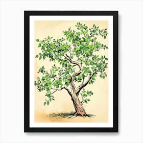 Lime Tree Storybook Illustration 3 Art Print