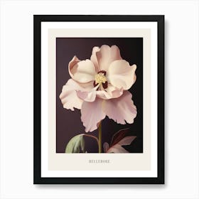 Floral Illustration Hellebore 2 Poster Art Print