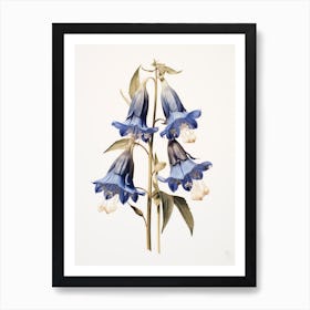 Pressed Flower Botanical Art Bluebell Art Print