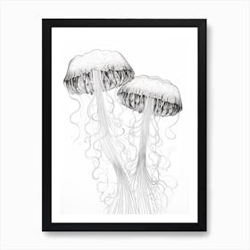 Comb Jellyfish Drawing 2 Art Print