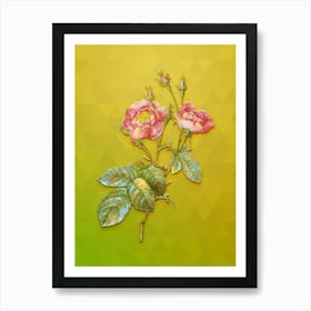 Vintage Anemone Centuries Rose Botanical Art on Empire Yellow n.0774 Art Print