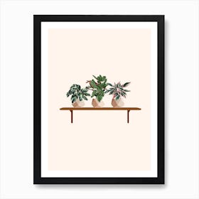 Calathea Plant Shelf Art Print