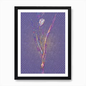 Geometric Lady Tulip Mosaic Botanical Art on Veri Peri n.0230 Art Print