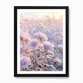 Frosty Botanical Asters 2 Art Print