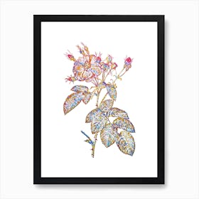 Stained Glass Harsh Downy Rose Mosaic Botanical Illustration on White n.0216 Art Print