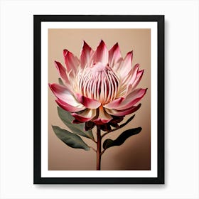 A Digital Painting Of A Large Protea Flower Centered In The Composition Against A Solid Beige Backg (3) Art Print