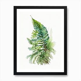 Dwarf Tree Fern 3 Watercolour Art Print