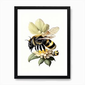 Bumblebee 2 Vintage Art Print