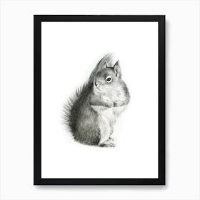 Squirrel Pencil Drawing Art Print