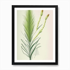 Horsetail Herb Pencil Colour Art Print