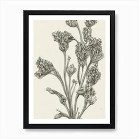 Snapdragons Vintage Botanical Flower Art Print