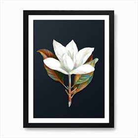 Vintage White Southern Magnolia Botanical Watercolor Illustration on Dark Teal Blue n.0023 Art Print