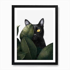 Black Cat In Ficus Art Print