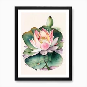 Blooming Lotus Flower In Lake Watercolour Ink Pencil 1 Art Print