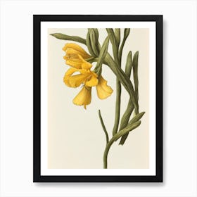 Freesia Vintage Botanical 2 Flower Art Print