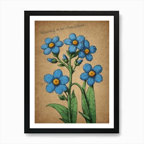 Forget Me Nots Art Print