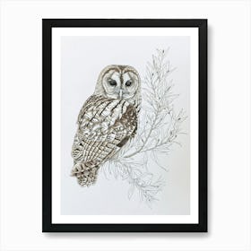 Tawny Owl Marker Drawing 6 Art Print