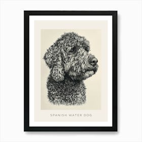 Spanish Water Dog Line Sketch 3 Poster Art Print