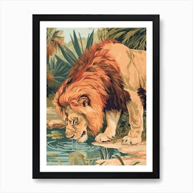 Barbary Lion Drinking Illustration 3 Art Print