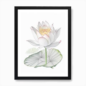 Water Lily Floral Quentin Blake Inspired Illustration 1 Flower Art Print