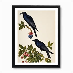 Raven James 3 Audubon Vintage Style Bird Art Print