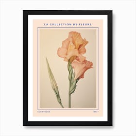 Gladiolus French Flower Botanical Poster Art Print