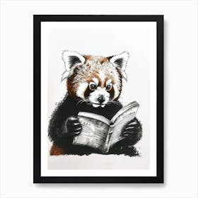 Red Panda Reading Ink Illustration 1 Art Print