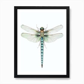 Common Green Darner Anax Junius 5 Art Print