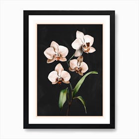 White Orchid Floral Art 1 Art Print