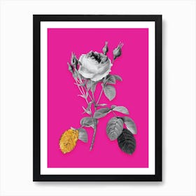 Vintage Double Moss Rose Black and White Gold Leaf Floral Art on Hot Pink n.0446 Art Print