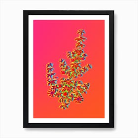 Neon Madder Leaved Bauera Botanical in Hot Pink and Electric Blue n.0502 Art Print