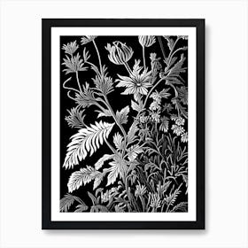 Hedge Nettle Wildflower Linocut Art Print