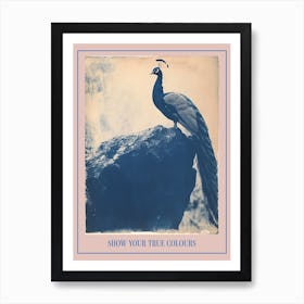 Navy Blue Peacock Portrait Cyanotype Inspired 3 Poster Art Print