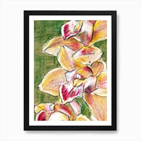 Yellow Orchids Art Print