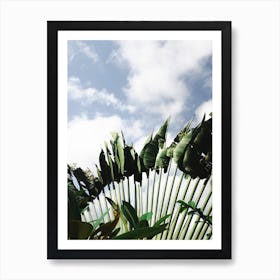 Tropical Green Plants On Blue Sky Art Print