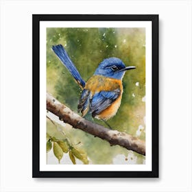 Mangrove Blue Flycatcher Art Print