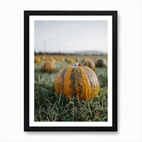 Almost Ripe Pumpkin Art Print