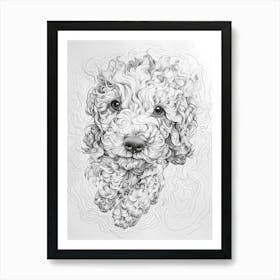Lagotto Romagnolo Dog Line Sketch 3 Art Print