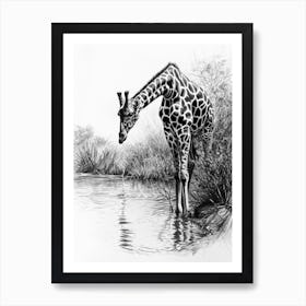 Giraffe Drinking Out Of A Watering Hole 2 Art Print