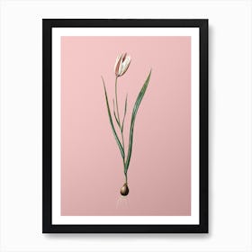 Vintage Lady Tulip Botanical on Soft Pink n.0929 Art Print