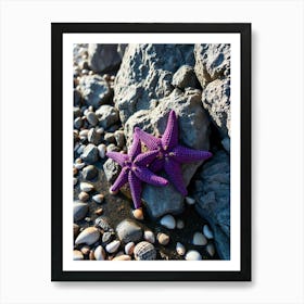 Purple Starfish On The Beach Photo Art Print