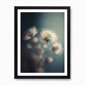 Star Flower Art Print