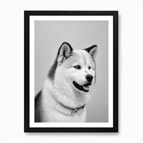 Akita 2 B&W Pencil Dog Art Print