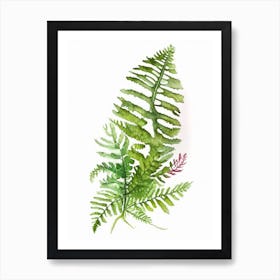 Evergreen Fern Wildflower Watercolour 2 Art Print