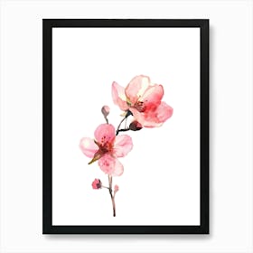 Watercolor Cherry Blossoms Art Print