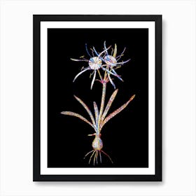 Stained Glass Streambank Spiderlily Mosaic Botanical Illustration on Black n.0180 Art Print