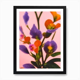 African Violet Colourful Illustration Art Print