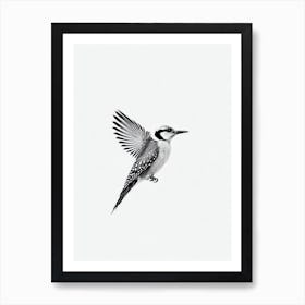 Woodpecker B&W Pencil Drawing 3 Bird Art Print