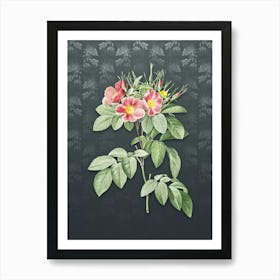 Vintage Pasture Rose Botanical on Slate Gray Pattern n.2078 Art Print