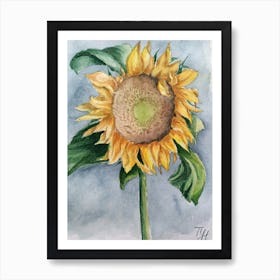 Sunflower Art Print